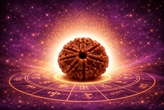 Ten Mukhi Rudraksha (Das Mukhi)