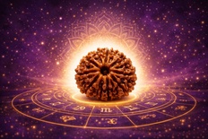 Nine Mukhi Rudraksha (Nav Mukhi)