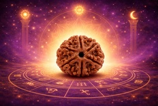 Chah Mukhi Rudraksha