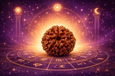 Four Mukhi Rudraksha (Chatur Mukhi)