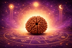 Three Mukhi Rudraksha (Tri Mukhi)