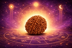 Do Mukhi Rudraksha (Two Mukhi)